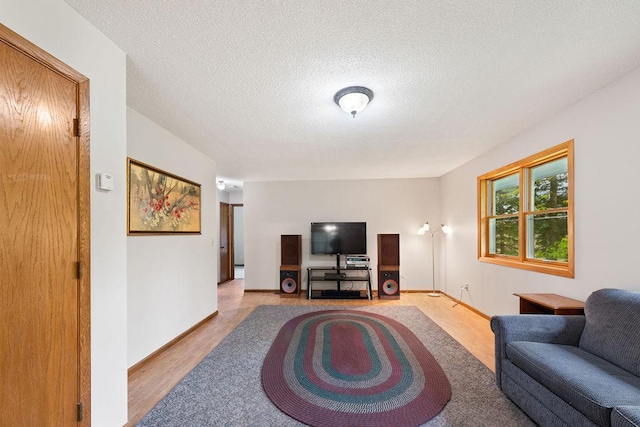 25431 Larch St NW, Isanti, MN 55040 - living room featuring a textured ceiling and wood finished floors