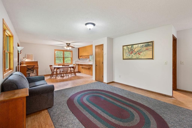 25431 Larch St NW, Isanti, MN 55040 - living area with a ceiling fan, light wood-style floors, and a textured ceiling