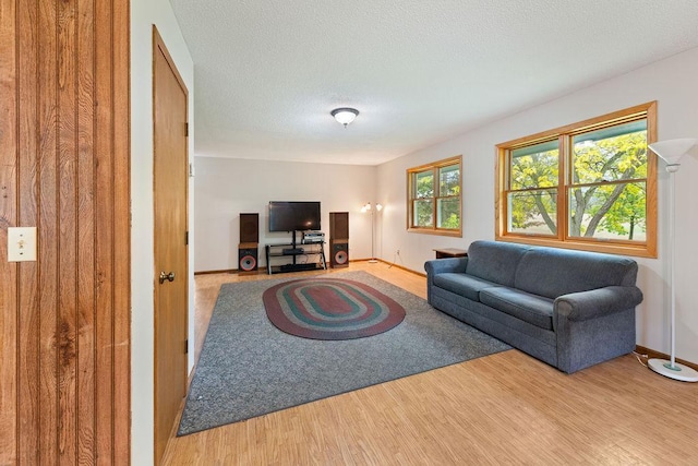 25431 Larch St NW, Isanti, MN 55040 - living area with wood finished floors and a textured ceiling
