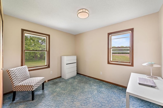 25431 Larch St NW, Isanti, MN 55040 - living area featuring carpet floors and baseboards
