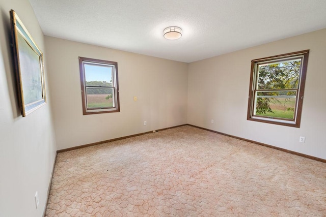 25431 Larch St NW, Isanti, MN 55040 - carpeted spare room with healthy amount of natural light and a textured ceiling