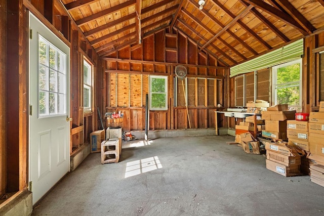 25431 Larch St NW, Isanti, MN 55040 - misc room with healthy amount of natural light, lofted ceiling, wood ceiling, and carpet flooring