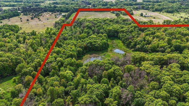 25431 Larch St NW, Isanti, MN 55040 - aerial view of property and surrounding area featuring property boundaries highlighted and a forest