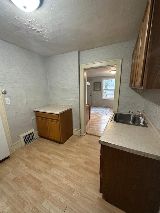 interior space featuring light countertops, light wood finished floors, visible vents, and a sink