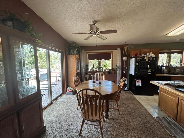 203 Colleen St SE, Remer, MN 56672 - dining room with a textured ceiling, ceiling fan, healthy amount of natural light, and vaulted ceiling