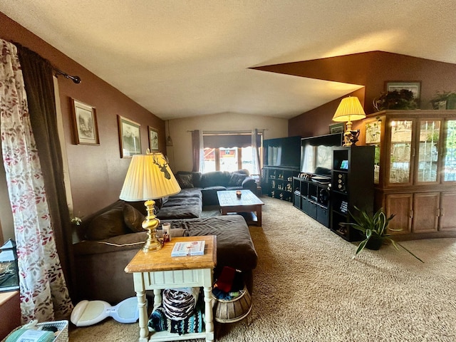 203 Colleen St SE, Remer, MN 56672 - carpeted living room featuring lofted ceiling and a textured ceiling