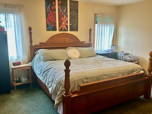 203 Colleen St SE, Remer, MN 56672 - bedroom featuring carpet