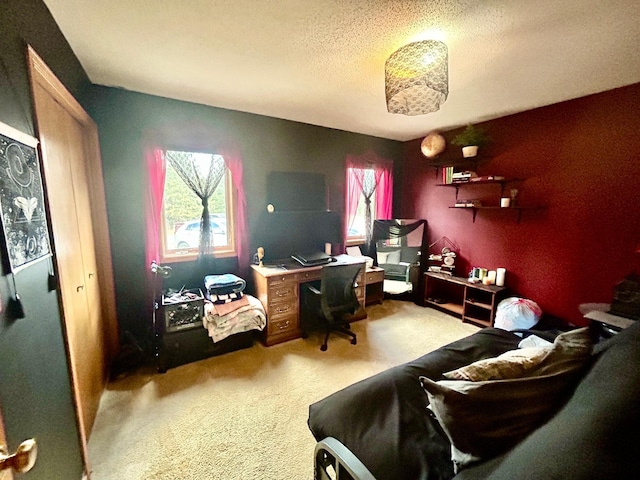 203 Colleen St SE, Remer, MN 56672 - carpeted office with a textured ceiling