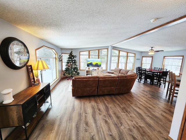20361 Rolling Acres Dr, Eden Lake Twp, MN 56368 - living room with dark wood finished floors, a textured ceiling, plenty of natural light, and a ceiling fan