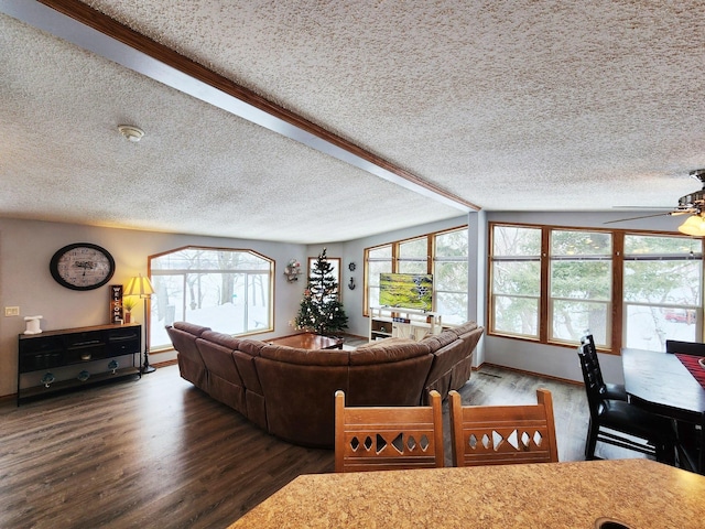 20361 Rolling Acres Dr, Eden Lake Twp, MN 56368 - living room featuring a textured ceiling, wood finished floors, and ceiling fan