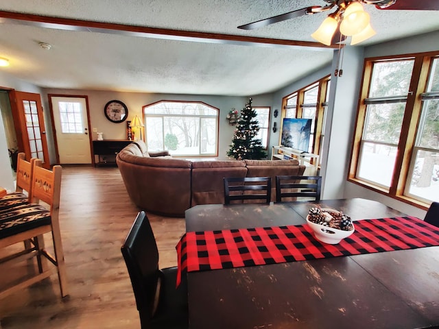20361 Rolling Acres Dr, Eden Lake Twp, MN 56368 - living room with a textured ceiling, wood finished floors, and a ceiling fan