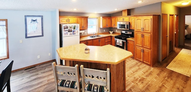 20361 Rolling Acres Dr, Eden Lake Twp, MN 56368 - kitchen featuring appliances with stainless steel finishes, light countertops, a sink, light wood finished floors, and a textured ceiling