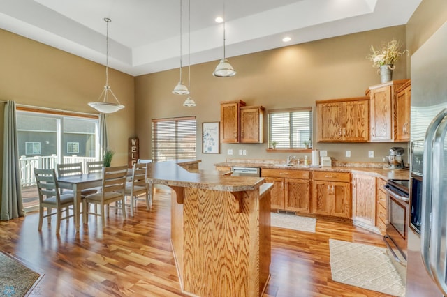 kitchen with light wood-type flooring, appliances with stainless steel finishes, a towering ceiling, and a tray ceiling