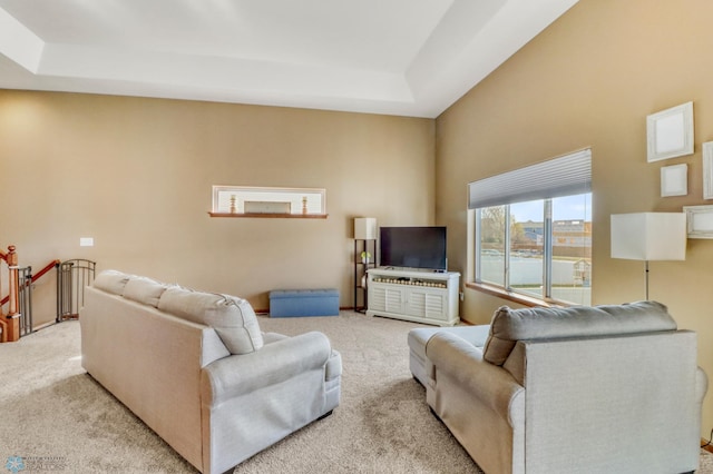 living room featuring carpet floors and a raised ceiling
