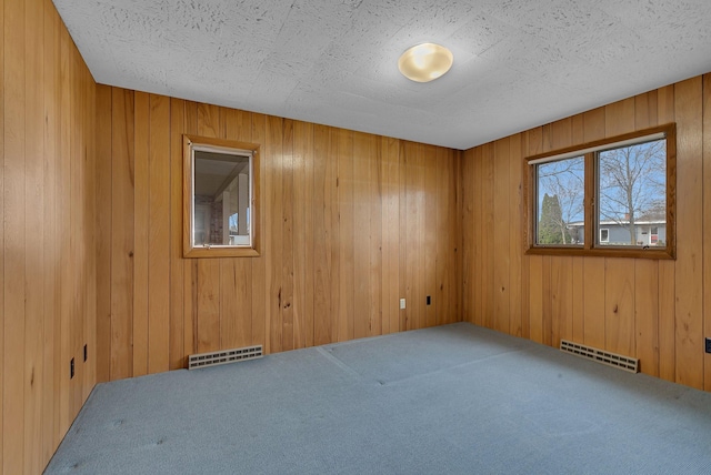 420 6th Ave N, Cold Spring, MN 56320 - unfurnished room featuring visible vents, wood walls, and carpet floors