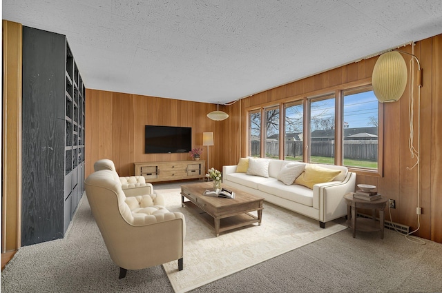 420 6th Ave N, Cold Spring, MN 56320 - living area with wooden walls, carpet floors, and a textured ceiling