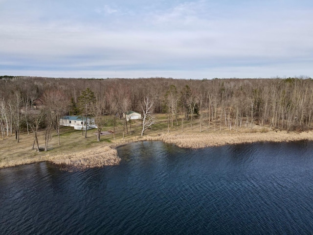 property view of water featuring a forest view