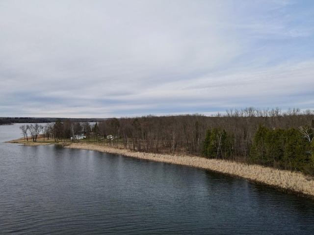 view of water feature featuring a forest view