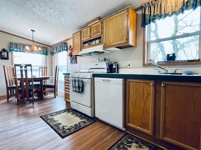 kitchen featuring wood finished floors, white appliances, an inviting chandelier, brown cabinets, and a textured ceiling