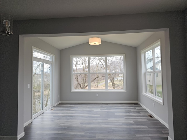 17121 61st St NE, Otsego, MN 55330 - unfurnished dining area with vaulted ceiling, wood finished floors, and a wealth of natural light