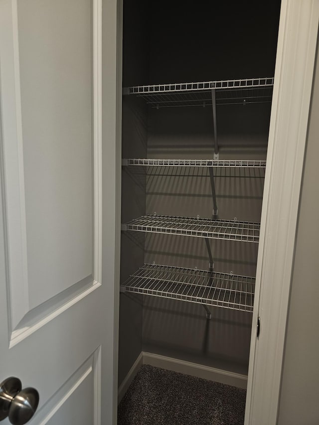 17121 61st St NE, Otsego, MN 55330 - view of closet