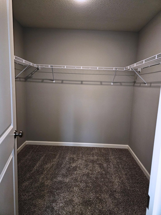 17121 61st St NE, Otsego, MN 55330 - spacious closet with carpet