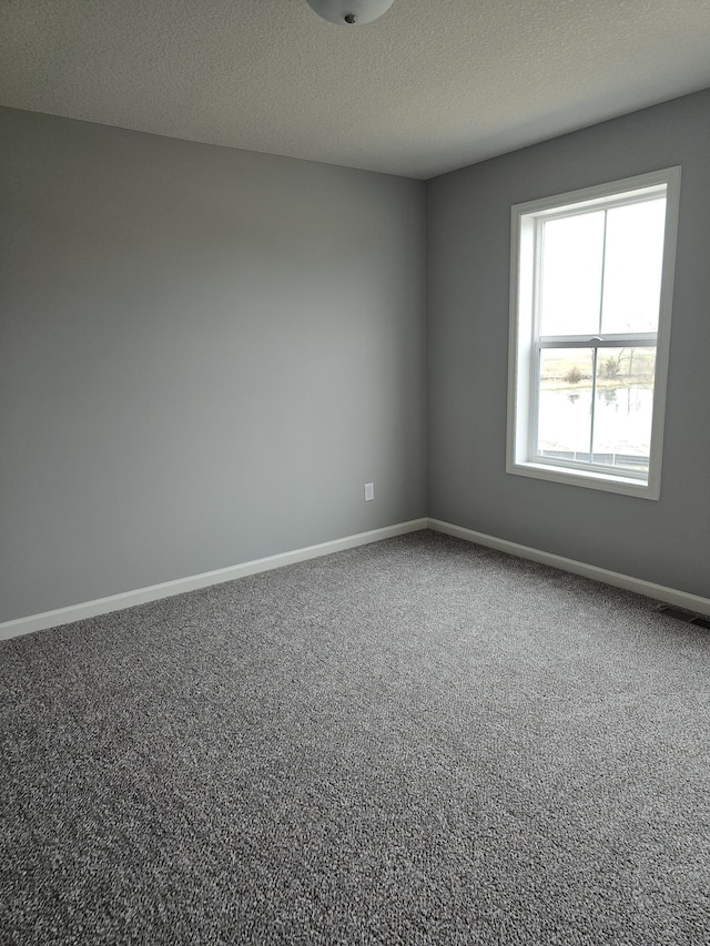 17121 61st St NE, Otsego, MN 55330 - carpeted spare room with baseboards, a textured ceiling, and visible vents