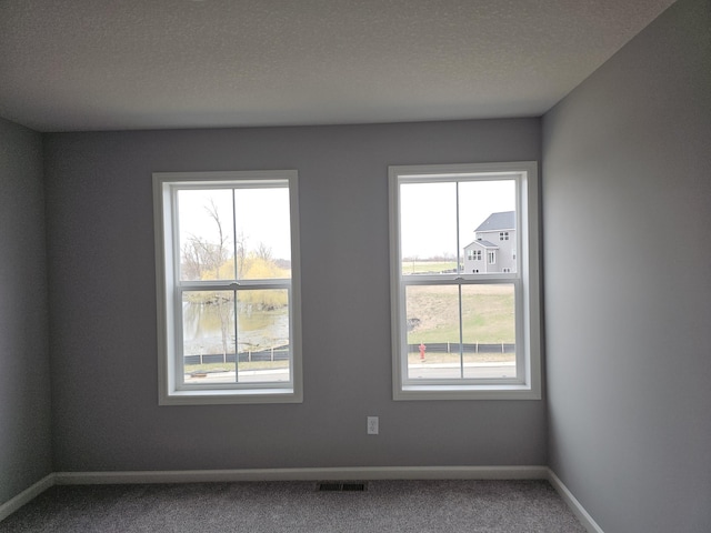 17121 61st St NE, Otsego, MN 55330 - empty room with carpet flooring, visible vents, and a wealth of natural light