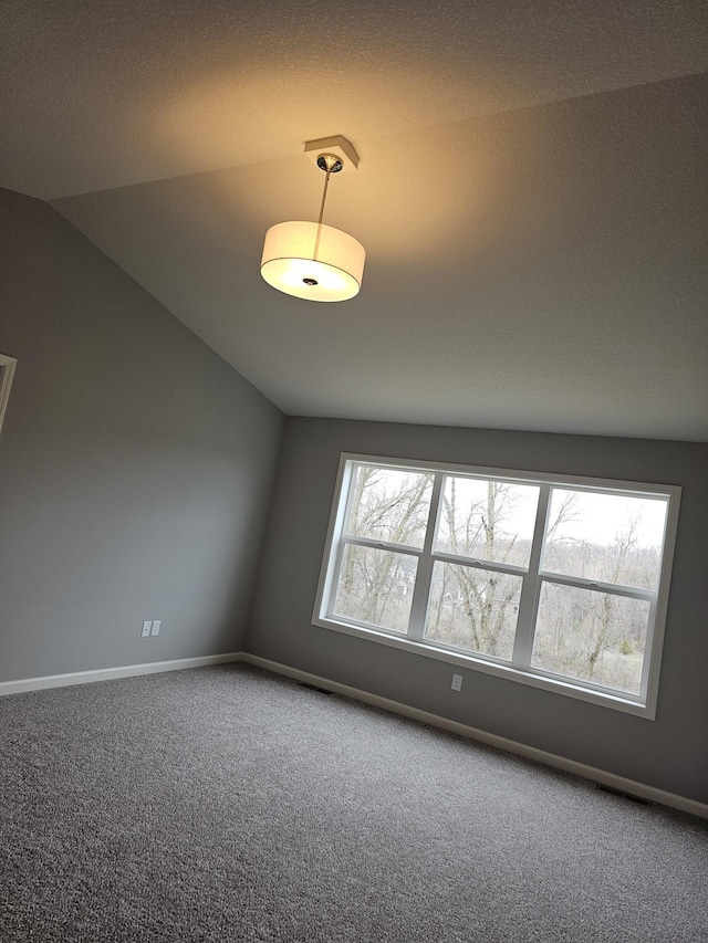 17121 61st St NE, Otsego, MN 55330 - spare room with carpet flooring, baseboards, and lofted ceiling