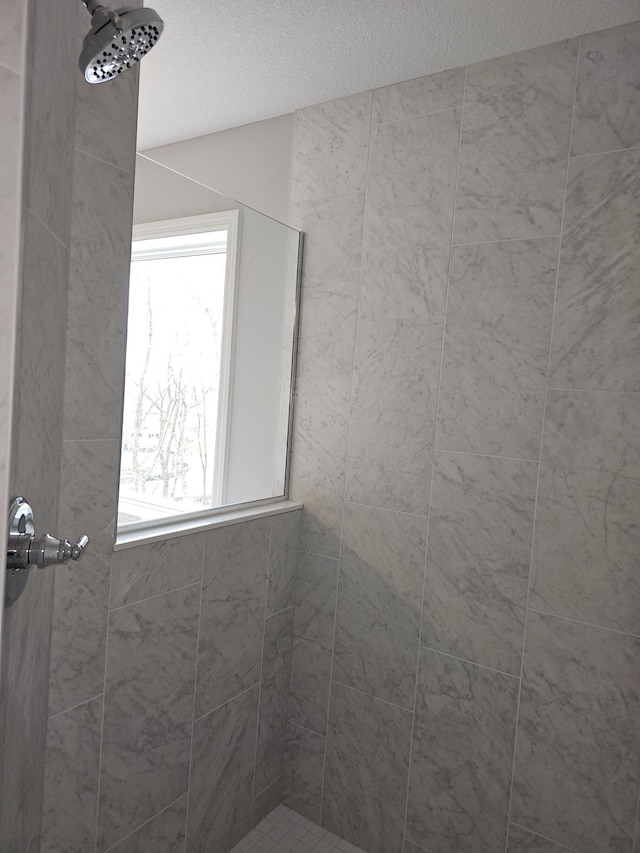 17121 61st St NE, Otsego, MN 55330 - bathroom featuring a tile shower