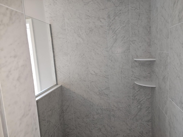 17121 61st St NE, Otsego, MN 55330 - details with walk in shower