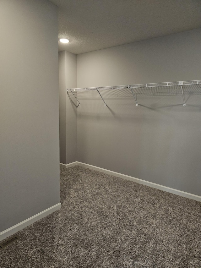 17121 61st St NE, Otsego, MN 55330 - walk in closet with carpet flooring