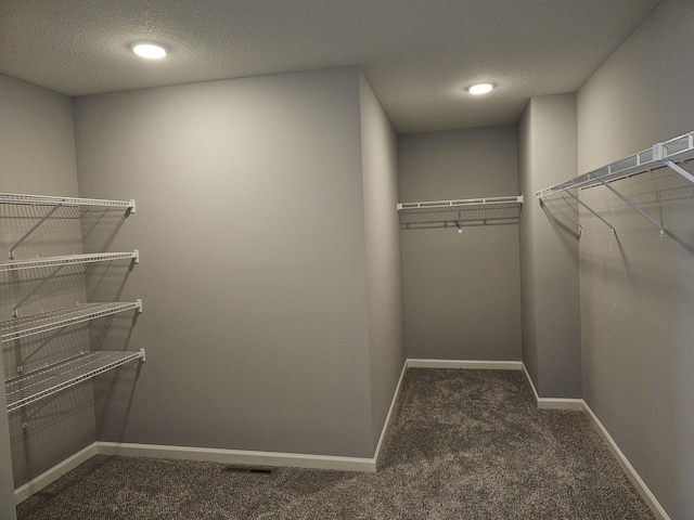 17121 61st St NE, Otsego, MN 55330 - walk in closet with carpet and visible vents
