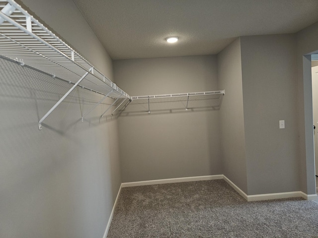 17121 61st St NE, Otsego, MN 55330 - walk in closet with carpet floors