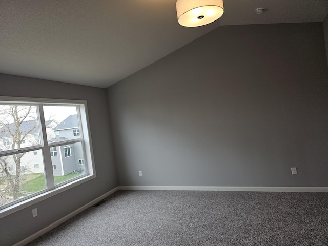 17121 61st St NE, Otsego, MN 55330 - carpeted empty room with baseboards, plenty of natural light, and lofted ceiling
