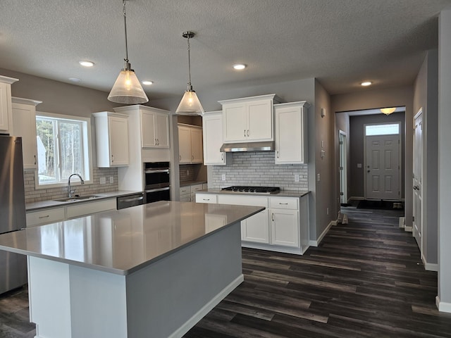 17121 61st St NE, Otsego, MN 55330 - kitchen with appliances with stainless steel finishes, dark wood-style floors, under cabinet range hood, recessed lighting, and white cabinets