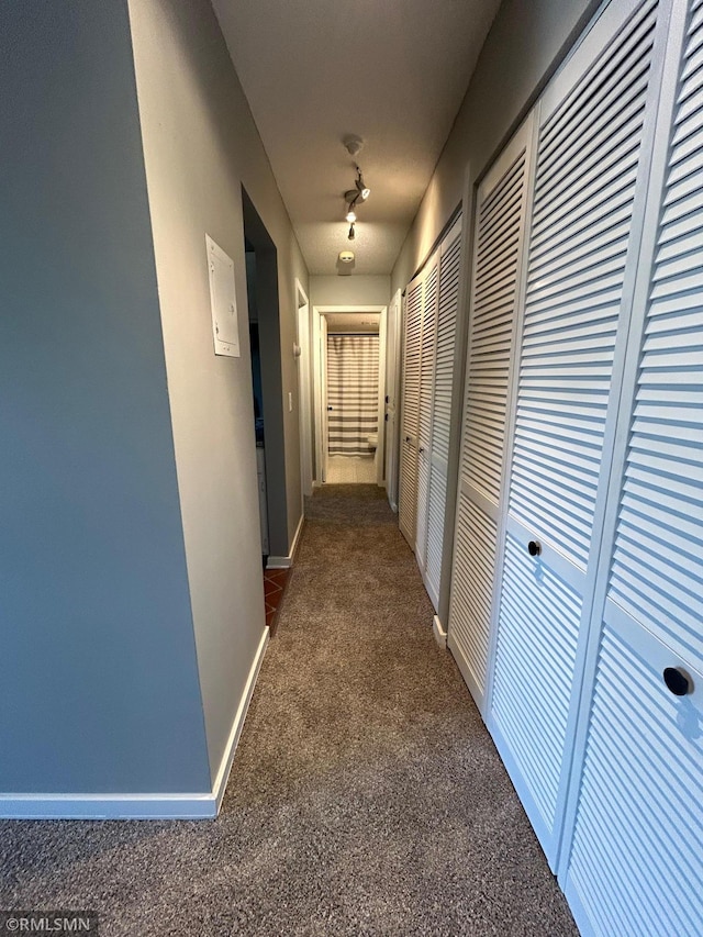 4371 Wilshire Blvd Unit 202, Mound, MN 55364 - hall featuring carpet and baseboards