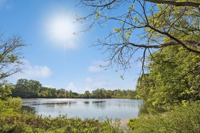 3662 Pond View Pt, Eagan, MN 55122 - water view with a forest