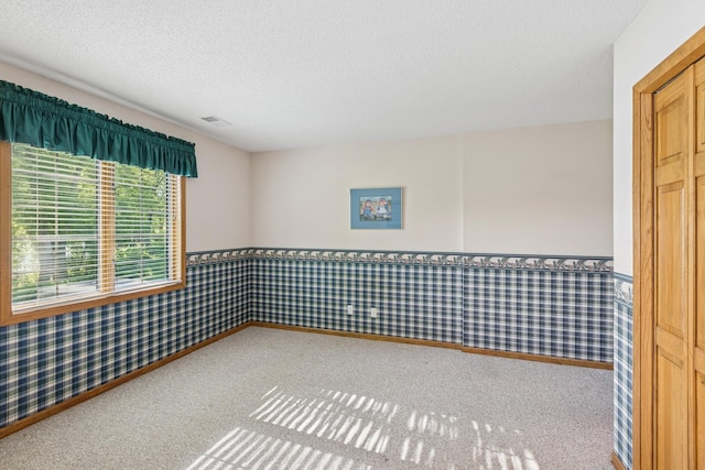 3662 Pond View Pt, Eagan, MN 55122 - carpeted empty room featuring a wainscoted wall, wallpapered walls, and a textured ceiling