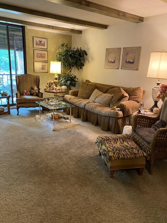 6075 Lincoln Dr Unit 201, Edina, MN 55436 - carpeted living room featuring beamed ceiling