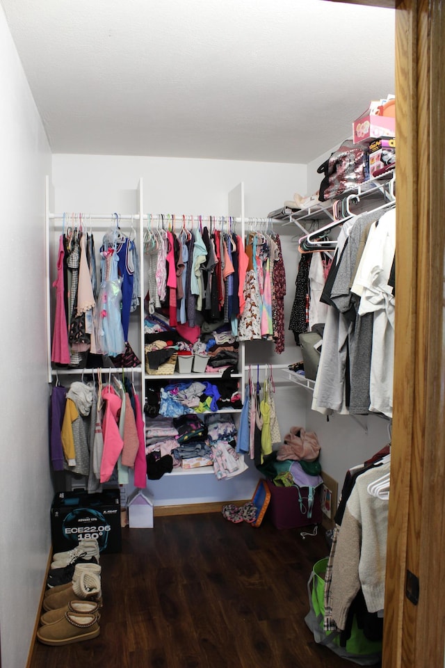 walk in closet featuring wood finished floors