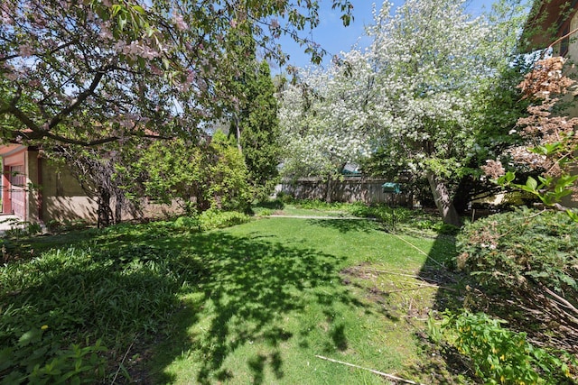 4606 Drexel Ave, Edina, MN 55424 - view of yard
