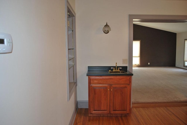 767 Shoreacres Dr, Fairmont, MN 56031 - interior space with dark colored carpet, baseboards, dark wood-style floors, and a sink