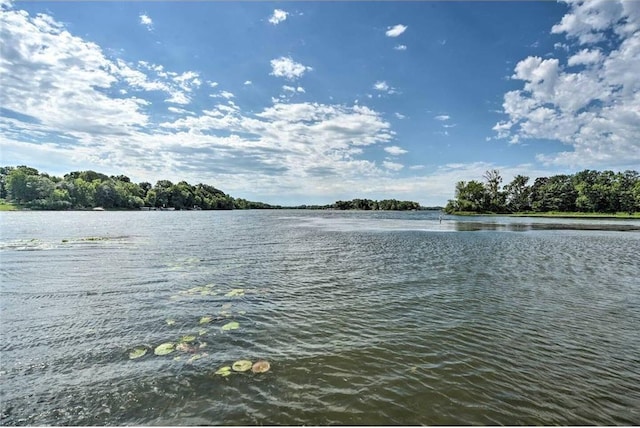 516 Park Island Rd Unit 1, Center City, MN 55012 - view of water feature