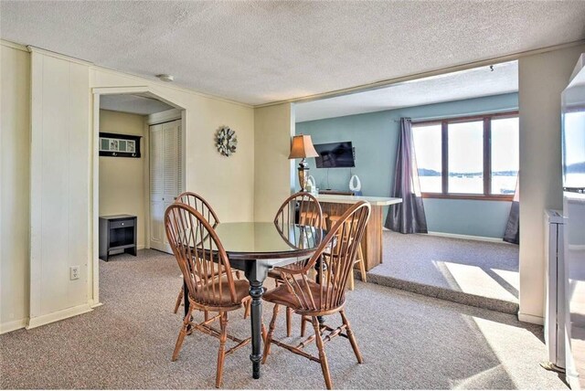 516 Park Island Rd Unit 1, Center City, MN 55012 - carpeted dining space with baseboards and a textured ceiling