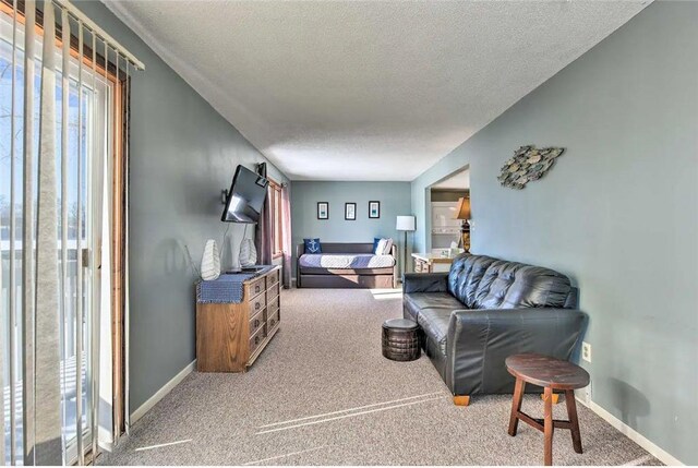 516 Park Island Rd Unit 1, Center City, MN 55012 - carpeted living room with a textured ceiling and baseboards