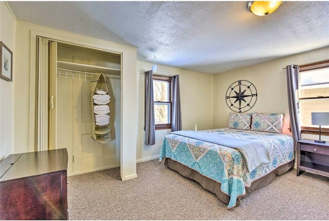 516 Park Island Rd Unit 1, Center City, MN 55012 - bedroom featuring carpet floors, a textured ceiling, baseboards, and multiple windows