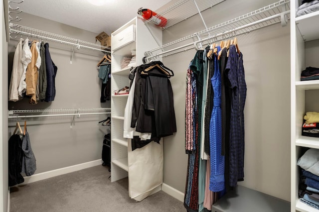 spacious closet featuring carpet