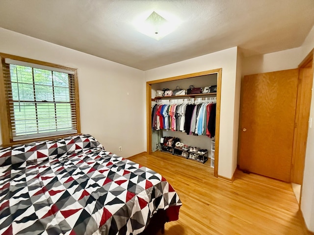 715 Crest Ln, Ellsworth, WI 54011 - bedroom with light wood-style flooring and a closet