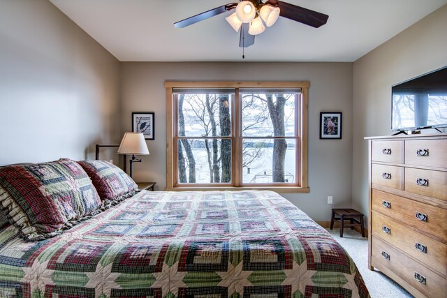 102 206th St, Alden Twp, WI 54026 - carpeted bedroom featuring multiple windows and ceiling fan